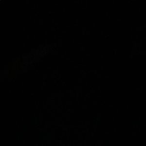 Meet your Posher, Dominic